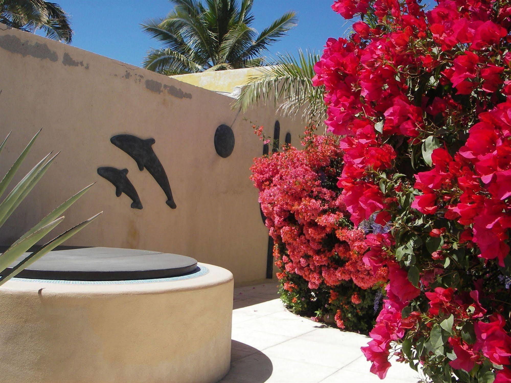 Casa Kootenay Waterfront Bnb La Paz Ngoại thất bức ảnh